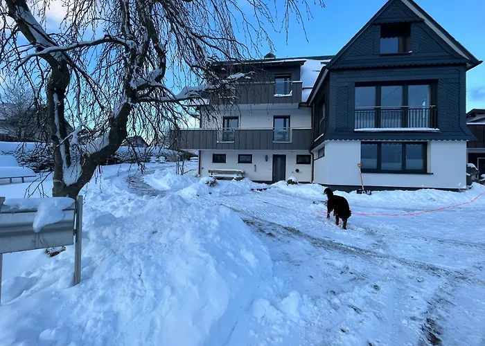 Astrid'S Pension Winterberg